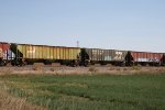 BN 447954